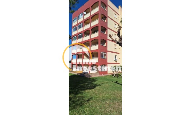 Gebrauchtimmobilien - Apartment - Torrevieja - PLAYA DE LA MATA