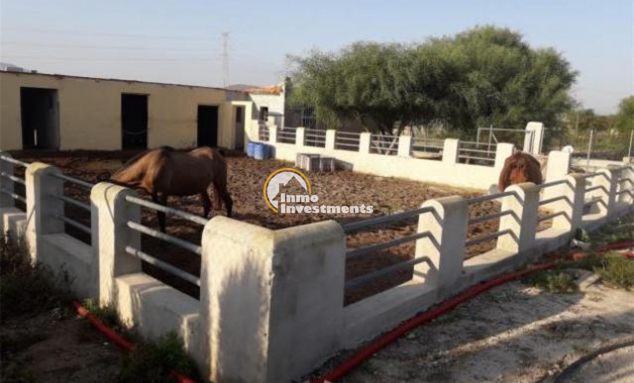 Gebrauchtimmobilien - Villa - Orihuela - La Matanza