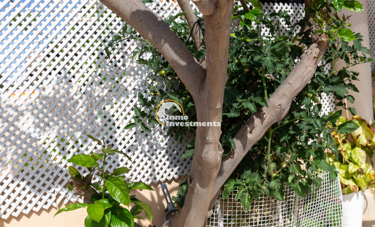 Revente privée - Maison mitoyenne - La Zenia