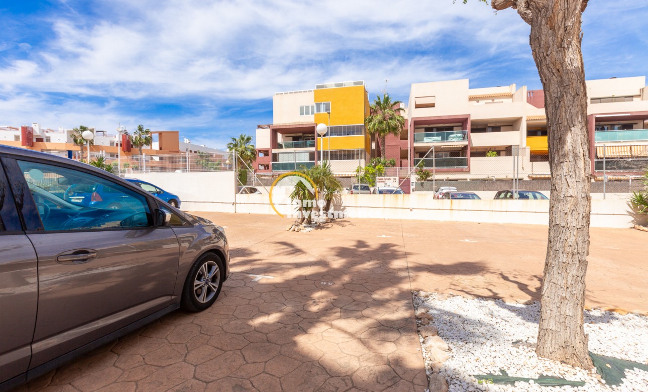 Gebrauchtimmobilien - Apartment - Playa Flamenca