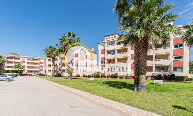 Resale - Apartment - Playa Flamenca - Jumilla