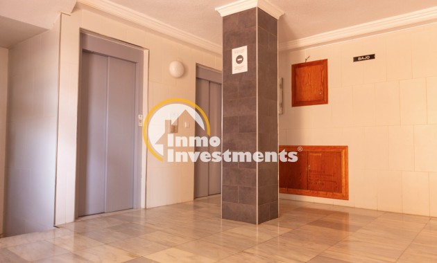 Gebrauchtimmobilien - Studio - Torrevieja - Strand