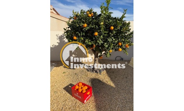 Gebrauchtimmobilien - Villa - Ciudad Quesada