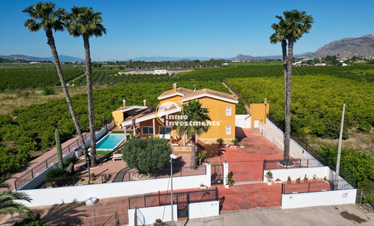 Till salu - Finca - Orihuela - Orihuela city