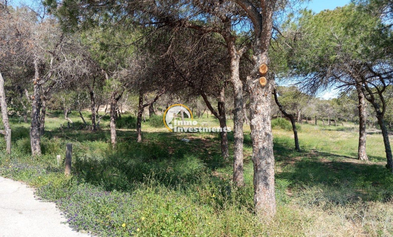 Gebrauchtimmobilien - Bungalow - Guardamar del Segura - Urbanizaciones