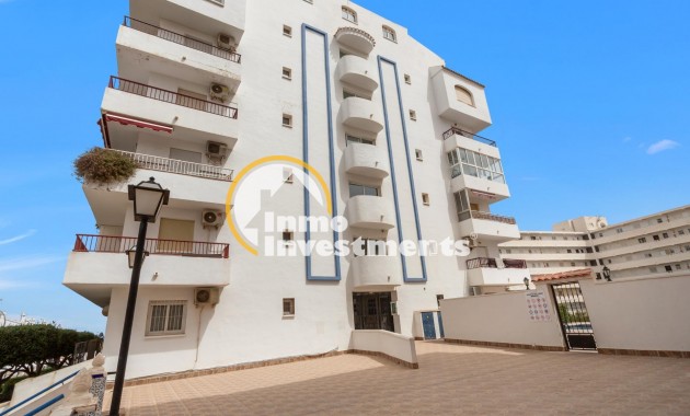 Bestaande bouw - Penthouse - La Mata - Torre la Mata