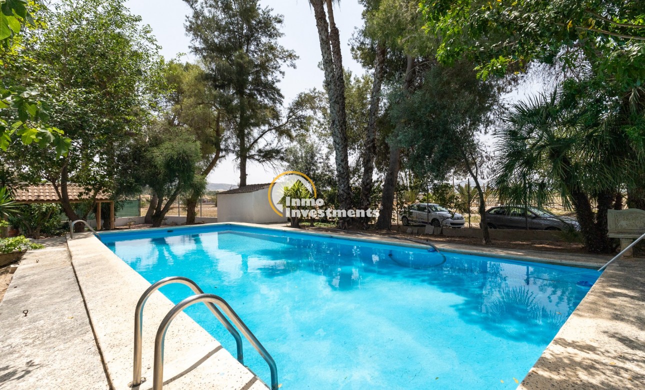 Reventa - Finca - Orihuela - Orihuela ciudad