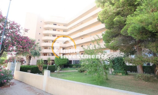 Resale - Commercial - Orihuela Costa - La Zenia