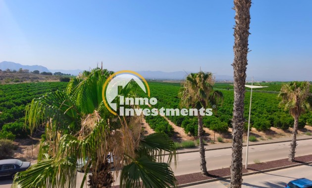 Resale - Semi detached villa - Algorfa - La Finca