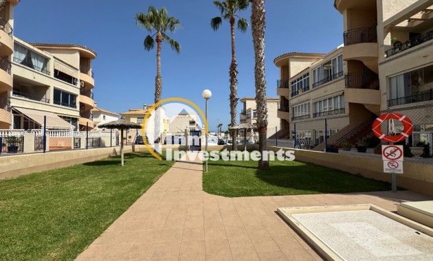 Gebrauchtimmobilien - Apartment - Los Altos