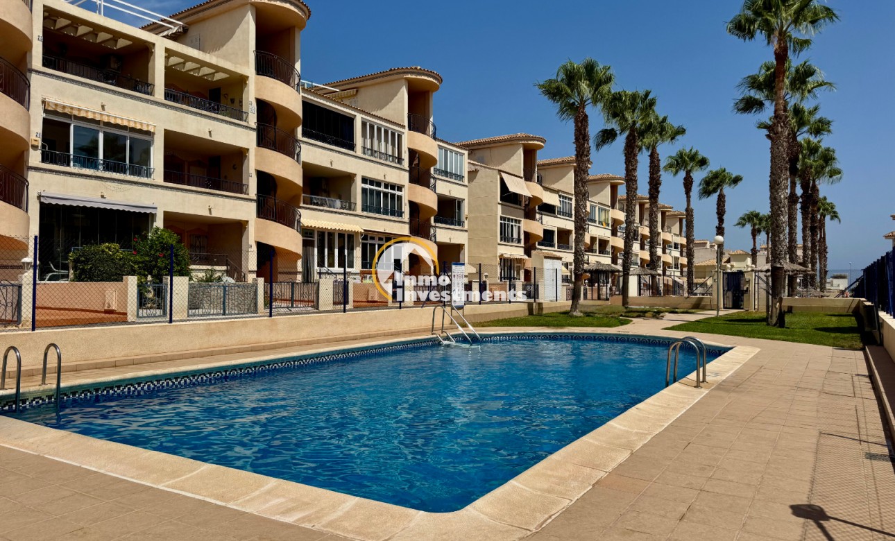 Gebrauchtimmobilien - Apartment - Los Altos