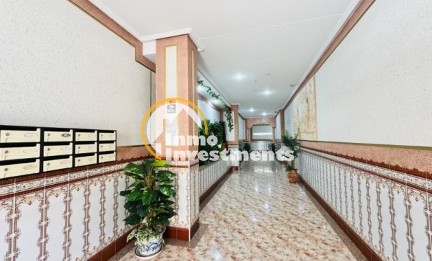  - Appartement - La Mata