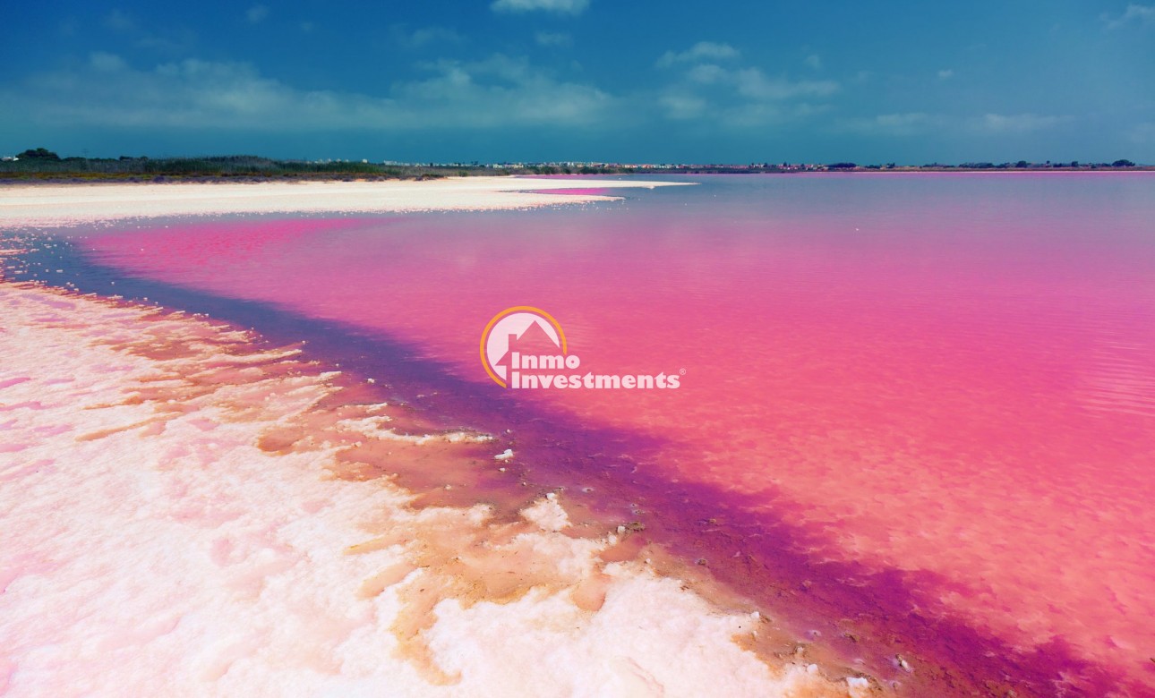 New build - Apartment - Los Balcones