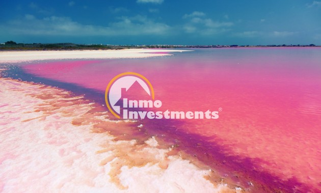 New build - Apartment - Los Balcones