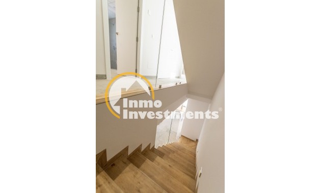 Neubau Immobilien - Villa - Pilar de la Horadada