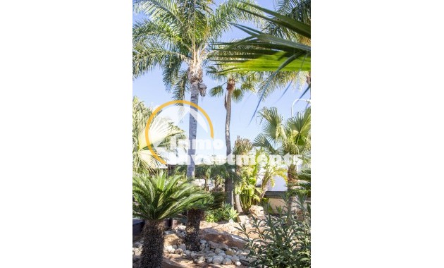 Neubau Immobilien - Villa - San Pedro - San Pedro del Pinatar