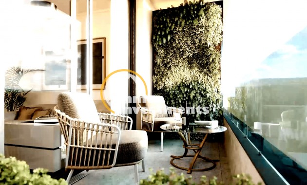 Neubau Immobilien - Penthouse - Torrevieja - Torrevieja Zentrum