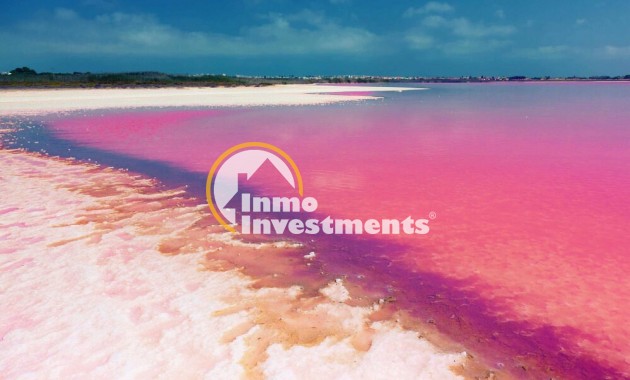 Neubau Immobilien - Penthouse - Torrevieja - Torrevieja Zentrum