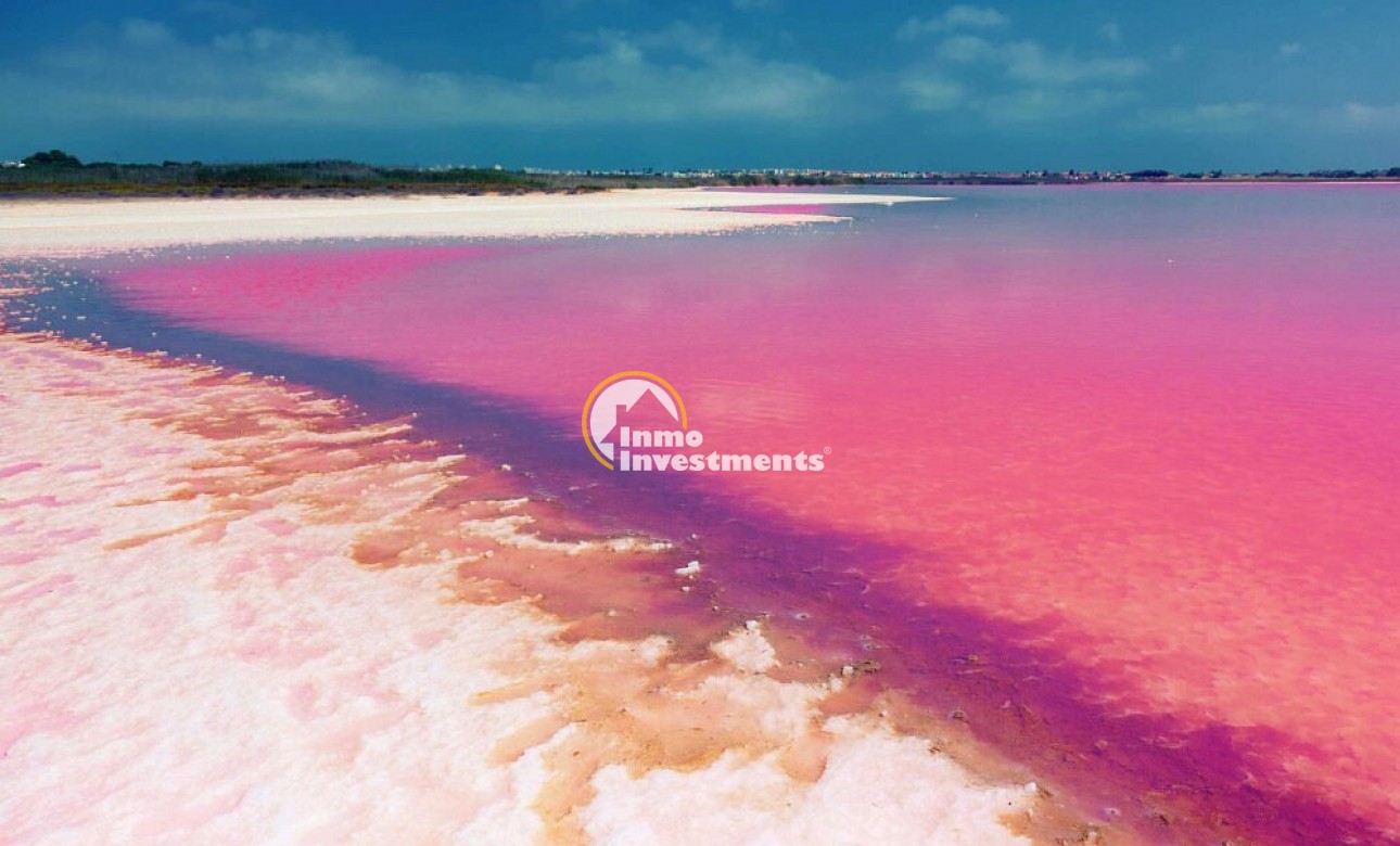 New build - Penthouse - Torrevieja - Torrevieja Centre