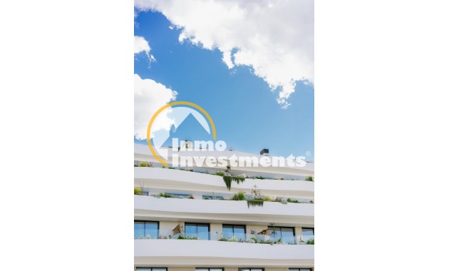 Obra nueva - Apartamento - Albir