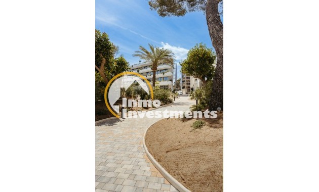 Obra nueva - Apartamento - Albir