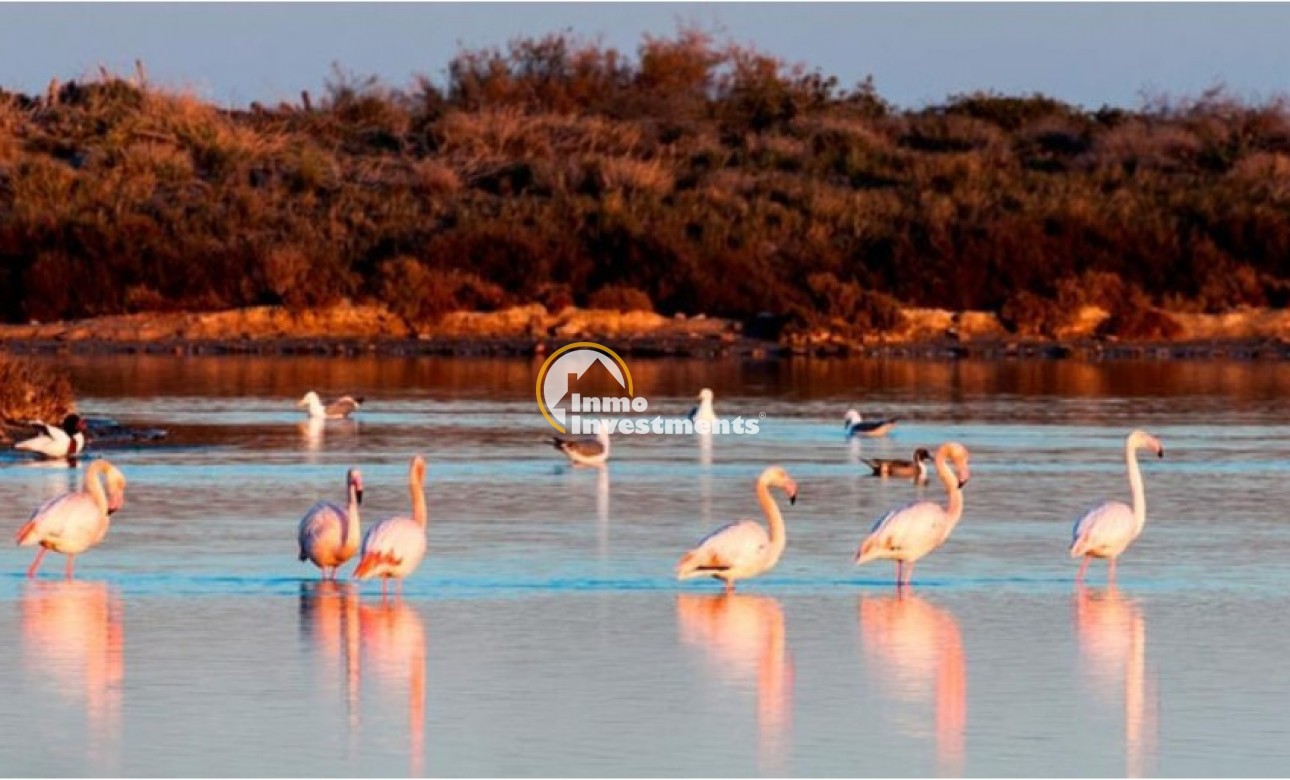 Neubau Immobilien - Villa - San Pedro - San Pedro del Pinatar