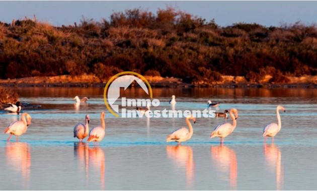 Neubau Immobilien - Villa - San Pedro - San Pedro del Pinatar