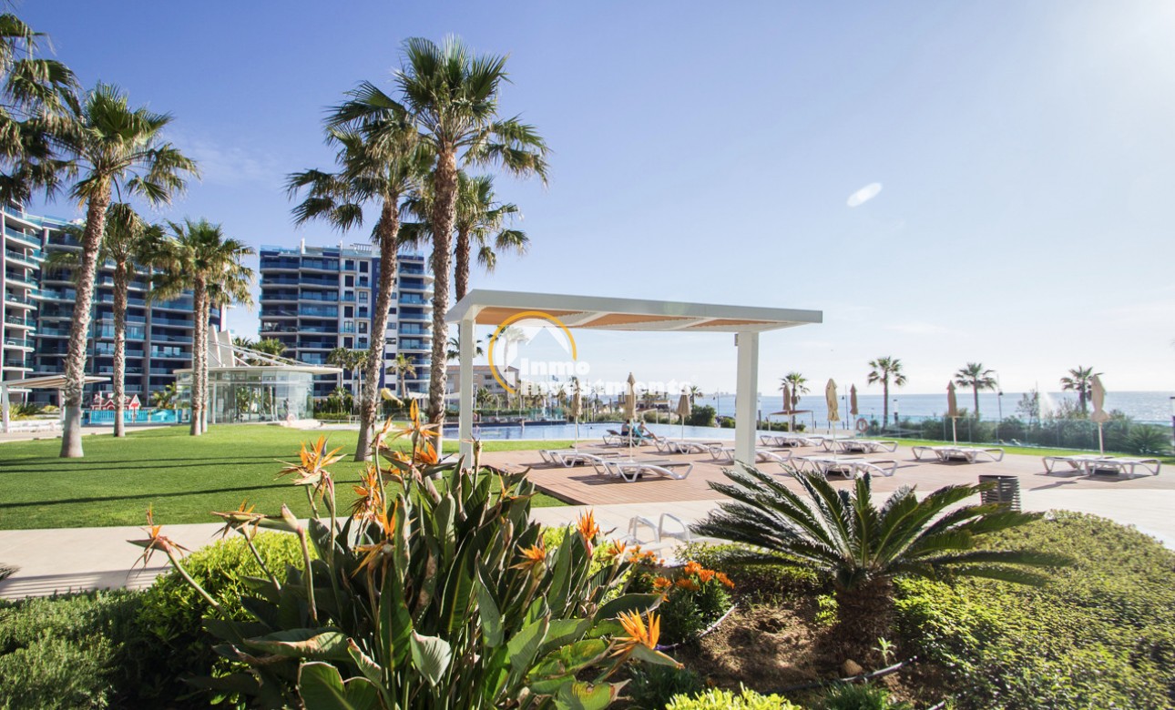 Gebrauchtimmobilien - Penthouse - Punta Prima