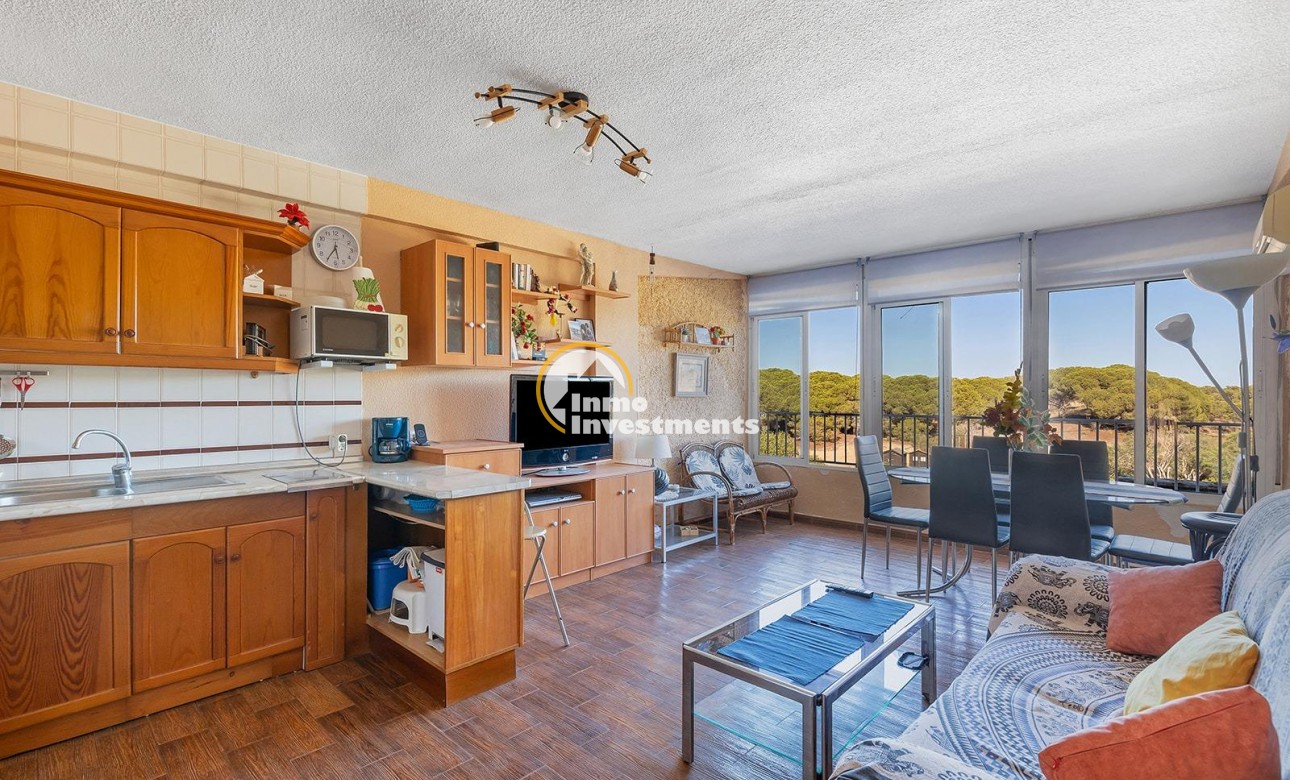 Gebrauchtimmobilien - Apartment - Guardamar del Segura