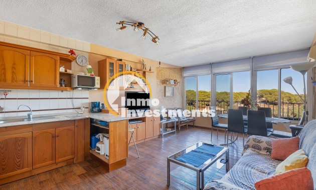 Gebrauchtimmobilien - Apartment - Guardamar del Segura