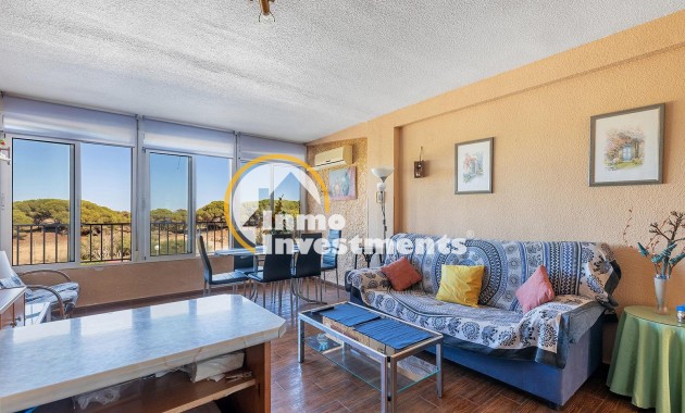 Gebrauchtimmobilien - Apartment - Guardamar del Segura