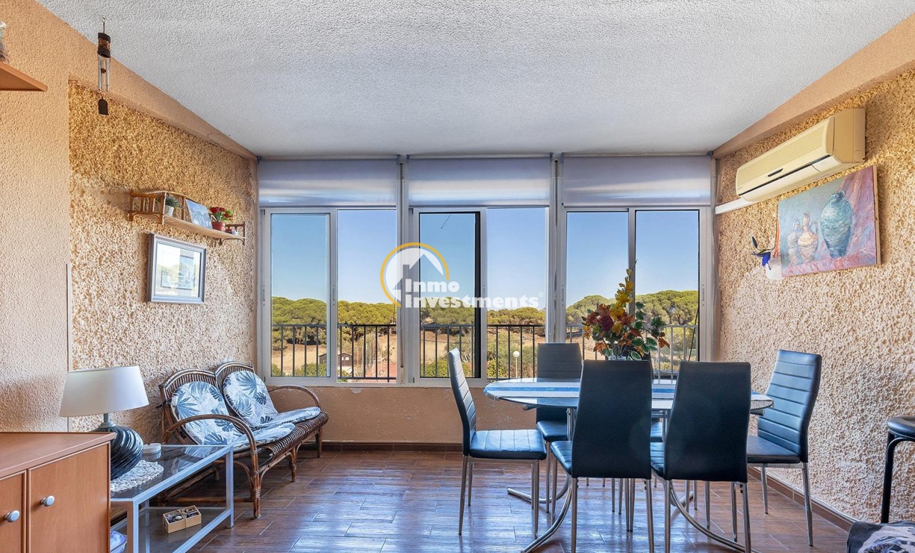 Gebrauchtimmobilien - Apartment - Guardamar del Segura