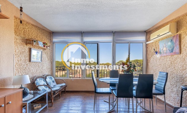 Gebrauchtimmobilien - Apartment - Guardamar del Segura