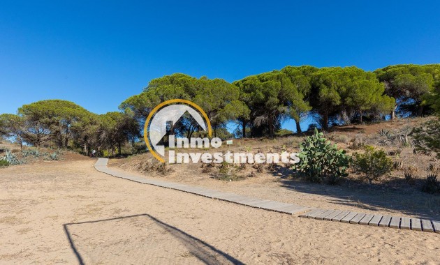 Gebrauchtimmobilien - Apartment - Guardamar del Segura