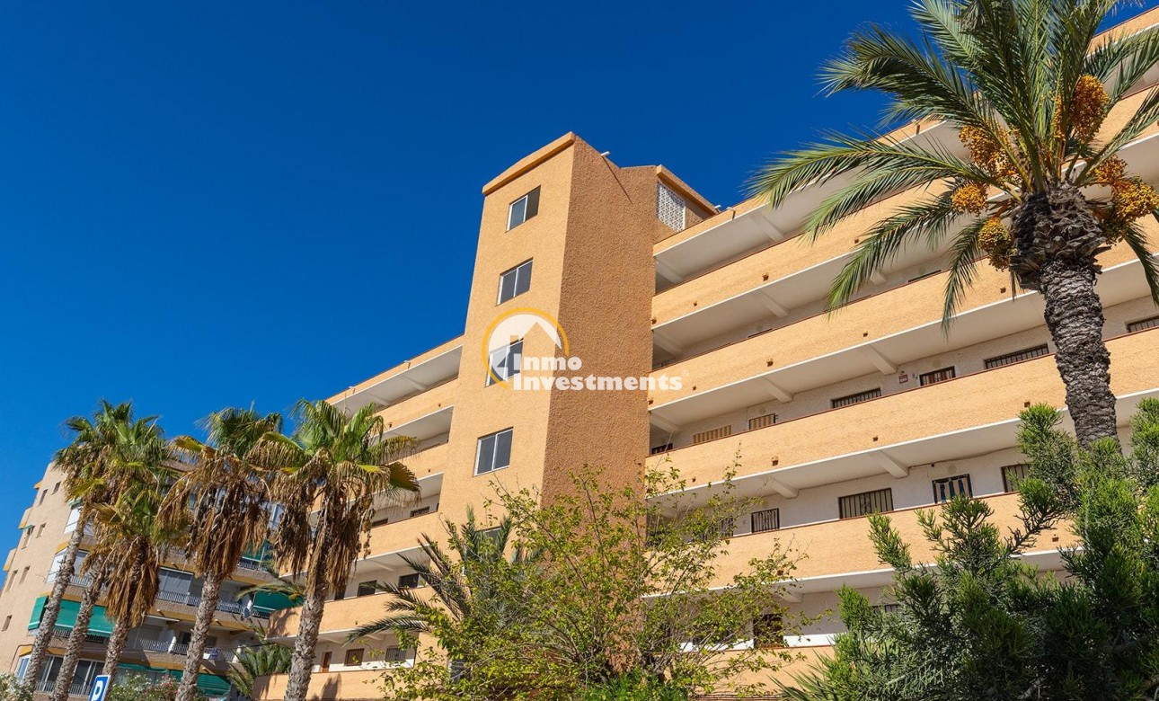 Gebrauchtimmobilien - Apartment - Guardamar del Segura