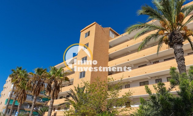 Gebrauchtimmobilien - Apartment - Guardamar del Segura