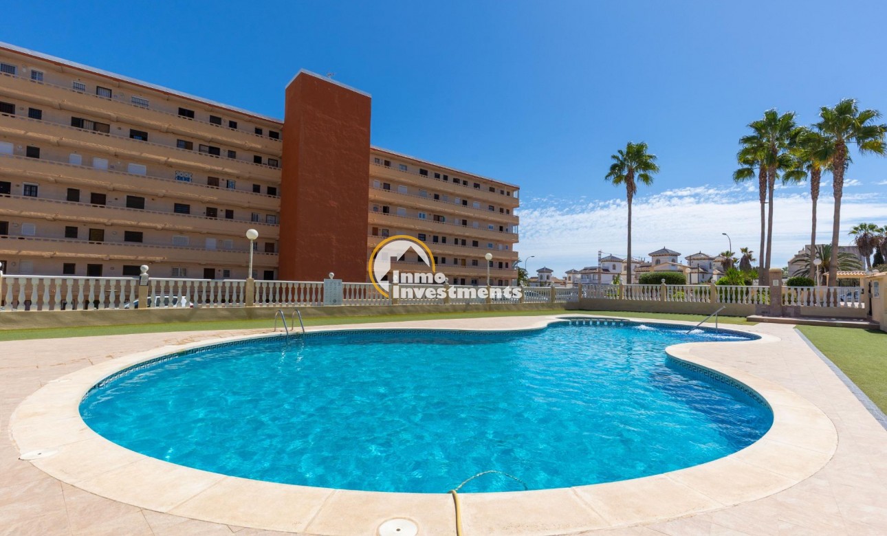 Reventa - Chalet independiente - Torrevieja