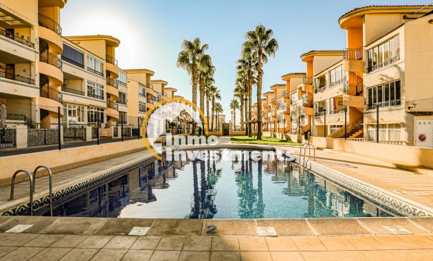 Long term rental - Apartment - Punta Prima - La Ciñuelica