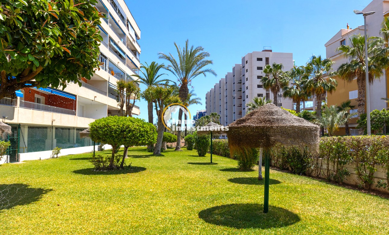 Gebrauchtimmobilien - Apartment - Punta Prima - Strandseite