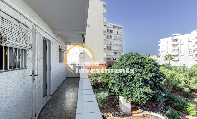 Gebrauchtimmobilien - Apartment - La Mata