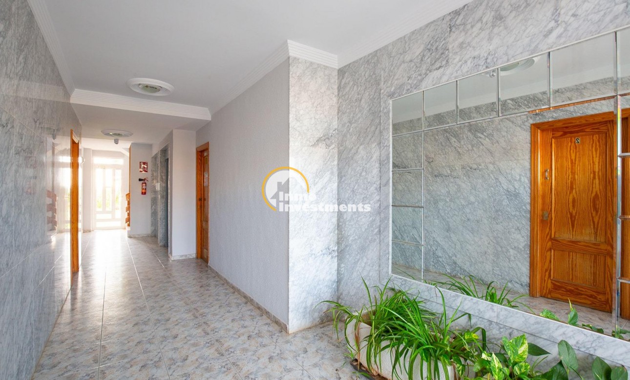 Gebrauchtimmobilien - Apartment - La Mata - Torre la Mata
