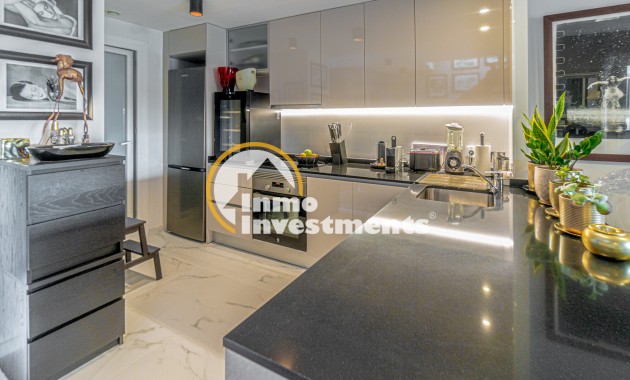 Gebrauchtimmobilien - Penthouse - Playa Flamenca