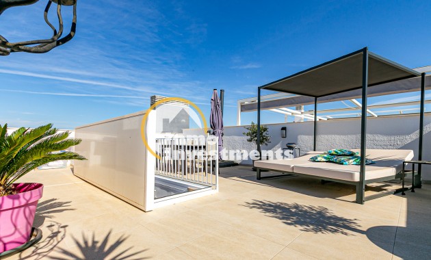 Gebrauchtimmobilien - Penthouse - Playa Flamenca