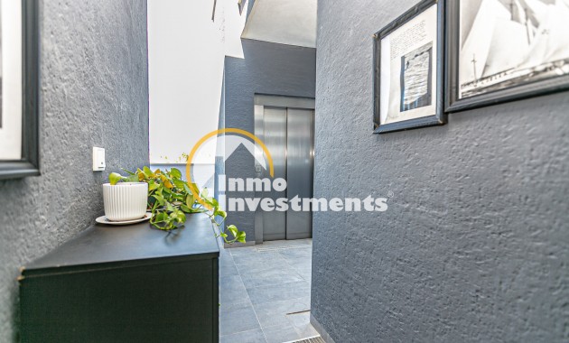 Gebrauchtimmobilien - Penthouse - Playa Flamenca