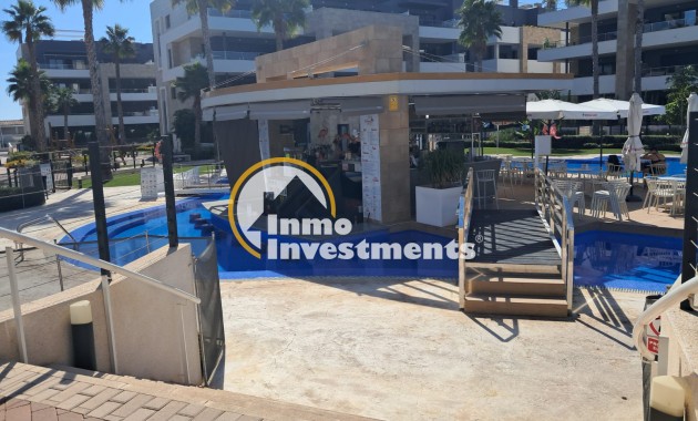 Gebrauchtimmobilien - Penthouse - Playa Flamenca