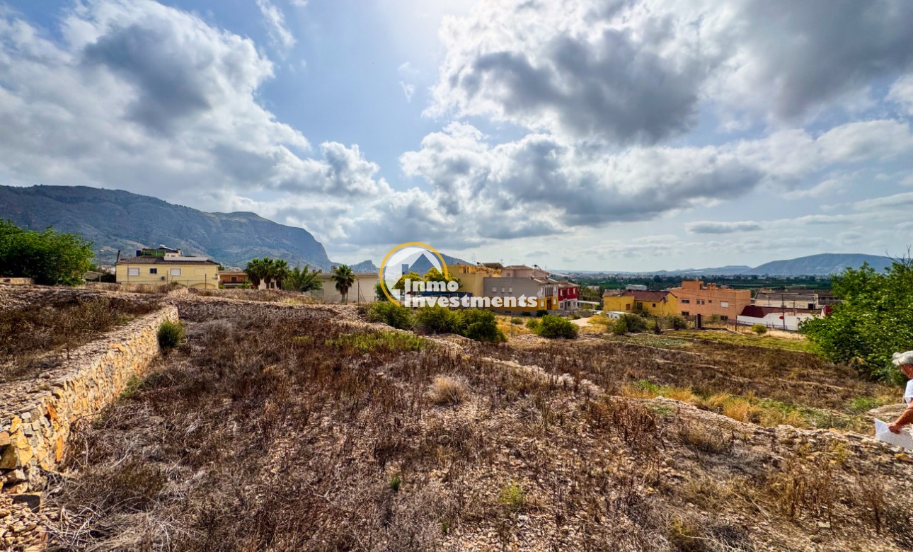 Till salu - Finca - Orihuela - Orihuela Campo