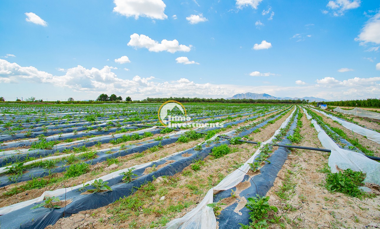 Bestaande bouw - Finca - San Isidro De Albatera - San Isidro