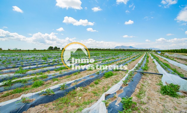 Bestaande bouw - Finca - San Isidro De Albatera - San Isidro