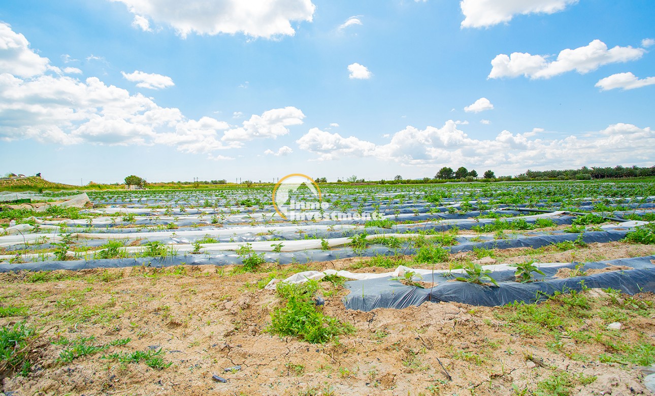 Bestaande bouw - Finca - San Isidro De Albatera - San Isidro