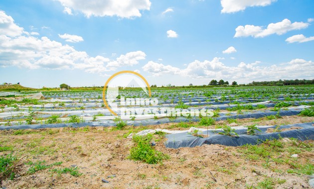 Bestaande bouw - Finca - San Isidro De Albatera - San Isidro